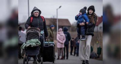 Вернулись домой: неожиданная статистика выезда беженцев из Украины за границу в 2023 году - fakty.ua - Украина - Германия - Польша