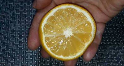 Как лимон может понадобиться в хозяйстве: три интересных лайфхака - politeka.net - Украина