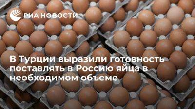 Владимир Путин - Дмитрий Патрушев - В Турции выразили готовность полгода поставлять в Россию яйца в нужном объеме - smartmoney.one - Россия - Турция