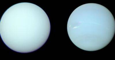 Ученые выяснили настоящий цвет Нептуна: он лишь немного отличается от цвета Урана (фото) - focus.ua - Украина