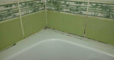 Как удалить на плитке в ванной ржавчину, плесень и мыльные разводы: поможет это средство - politeka.net - Украина