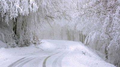 В Украине усложняется погода: морозы до -20°, метели, гололедица - pravda.com.ua - Украина