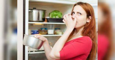 Может помочь пищевая сода: как избавиться от неприятных запахов в доме - fakty.ua - Украина
