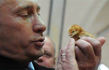Андрей Слепнев - Путин - «Путин, где курица?» - charter97.org - Россия - Екатеринбург - Белоруссия - Турция - Челябинск - Иран - Самара - Путин
