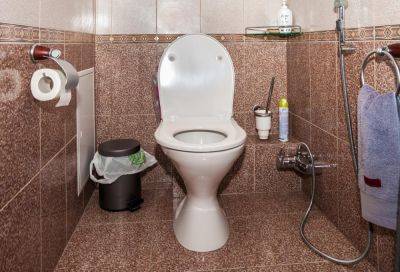 И перед гостями будет не стыдно: 6 эффективных способов избавиться от неприятного запаха в туалете - hyser.com.ua - Украина