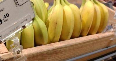 Какой фрукт взять с собой на работу? Актуальные цены на бананы, апельсины и мандарины - cxid.info - Турция