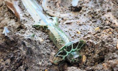 ​В Германии нашли бронзовый меч в захоронении, которому более 3 тыс. лет – фото - apostrophe.ua - Украина - Израиль - Германия - ГДР