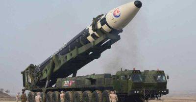 Антон Швец - Корейские ракеты испытывают на украинцах. Почему России не хватает своих вооружений - focus.ua - Россия - Украина - КНДР - Ракеты - Почему