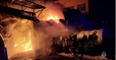 В Санкт-Петербурге произошел масштабный пожар: горит ангар (видео) - focus.ua - Москва - Россия - Украина - Санкт-Петербург