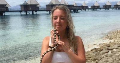 Медсестра поцеловала на пляже милое существо, оказавшееся убийственной змеей (фото) - focus.ua - Китай - Украина - Австралия - Макао - Новая Каледония