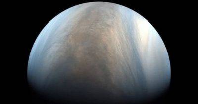 Загадочные пятна горячей планеты. Обнаружен недостающий компонент в облаках Венеры (фото) - focus.ua - Украина