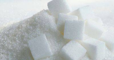 Продукция сахарной отрасли обеспечила четверть экспорта БУТБ в сегменте АПК - produkt.by - Казахстан - Белоруссия - Эстония - Польша - Литва - Латвия
