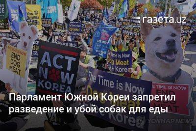 Юн Сок Ель - Парламент Южной Кореи запретил разведение и убой собак для еды - gazeta.uz - Южная Корея - Узбекистан - Парламент