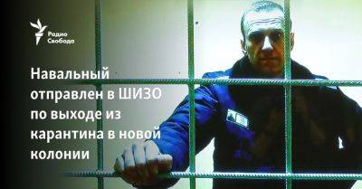 Алексей Навальный - Навальный - Навальный отправлен в ШИЗО по выходе из карантина в новой колонии - svoboda.org