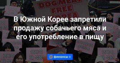 Джо Байден - В Южной Корее запретили продажу собачьего мяса и его употребление в пищу - smartmoney.one - Китай - Южная Корея - США - Корея