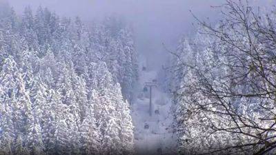 Несчастный случай на горнолыжном курорте в Австрии - ru.euronews.com - Австрия