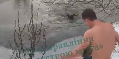 В Ирпене мужчина спас собаку из ледяной воды — видео - nv.ua - Украина - Киевская обл. - Ирпеня