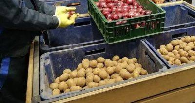 Картофель продолжает дорожать: Эксперты назвали основную причину роста цен на борщевой набор - cxid.info - Украина