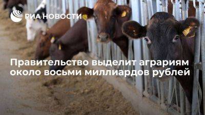 Михаил Мишустин - Мишустин: правительство выделит около 8 млрд рублей для фермерских хозяйств - smartmoney.one - Россия - Мишустин