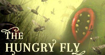 Состоялся релиз гротескной игры The Hungry Fly, где вы играете за грязную, мерзкую муху-трупоеда - gagadget.com