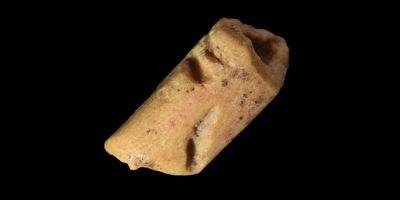 В США нашли артефакт возрастом в 13 тысяч лет, принадлежащий древней культуре - tech.onliner.by - США - штат Вайоминг