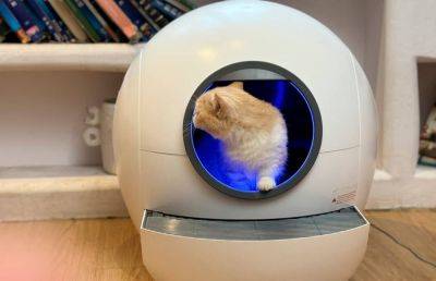 Автоматический умный кошачий туалет Amicura делает питомца счастливее - ilenta.com