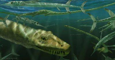 Ей 240 млн лет: ученые обнаружили странную рептилию, сохранившуюся в целостном состоянии (фото) - telegraf.com.ua - Китай - Шотландия