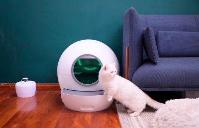 На рынок выходит умный кошачий туалет Amicura cura1 с автоматической дверцей - ilenta.com