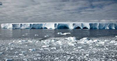 Ледник Судного дня начал "умирать" еще 80 лет назад: что запустило процесс уничтожения (фото) - focus.ua - Антарктида