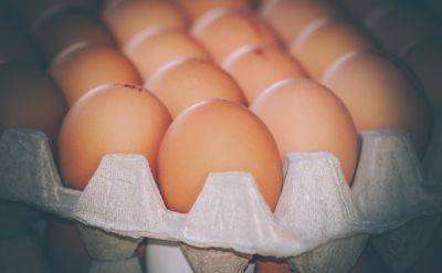 Когда и как нужно есть яйца, чтобы похудеть - советы эксперта - cursorinfo.co.il