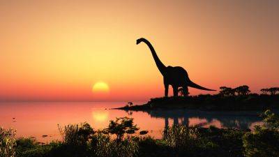 Ученые обнародовали жуткий факт о последнем дне жизни динозавров - cursorinfo.co.il