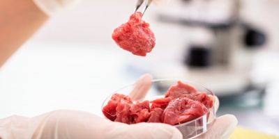 В США предложили наказывать за продажу искусственного мяса - tech.onliner.by - США - шт.Флорида - штат Алабама - шт. Аризона