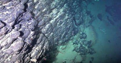 Сокровища Земли. Скрывавшийся 40 млн лет в океане остров полон драгоценных минералов (фото) - focus.ua - Бразилия - Сан-Паулу