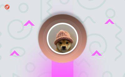 Nazar Pyrih - NFT с изображением собаки-символа Dogwifhat продали за $4,3 млн - incrypted.com