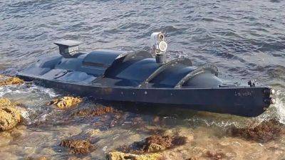Румыния раздумывает о закупке боевых морских дронов - gagadget.com - Россия - Украина - Молдавия - Франция - Румыния