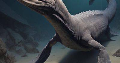 Ей 247 млн лет: исследователи обнаружили древнейшую морскую рептилию с длинной шеей - telegraf.com.ua - Германия