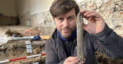 Тысячелетний артефакт раскопали в Чехии: ученые нашли средневековый костяной конек (фото) - focus.ua - Швеция - Чехия