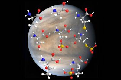 Аминокислоты остаются стабильными в облаках Венеры - universemagazine.com