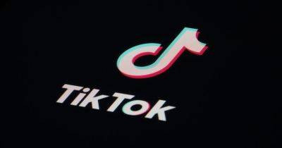 TikTok привлекает подростков для защиты платформы в США - gagadget.com - США - Англия - Мексика - Бразилия - Ирландия - Марокко - Индонезия - Кения