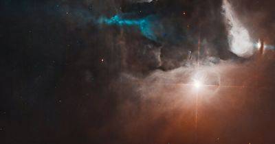 Новорожденная звезда заявила о себе ярким световым шоу: это увидел телескоп Хаббл (фото) - focus.ua
