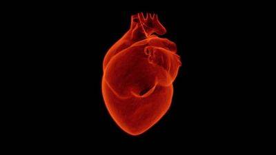 Список трав и специй для нормализации кровяного давления и здоровья сердца - cursorinfo.co.il