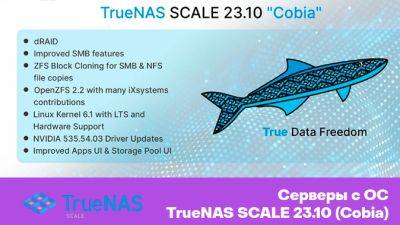 HOSTKEY предлагает к заказу серверы с операционной системой TrueNAS SCALE 23.10 (Cobia) для создания сетевых хранилищ - habr.com
