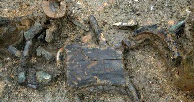 Помойка бронзового века: обнаружено первое в мире мусорное ведро, возрастом в 3000 лет - focus.ua