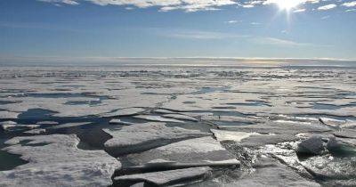 Исследование показывает, что лед в Арктике тает все быстрее - gagadget.com