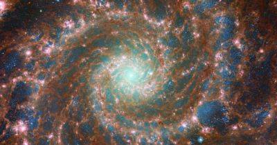 Какие звуки издают галактика и туманности: NASA озвучило 3 потрясающих снимка космоса (видео) - focus.ua - США