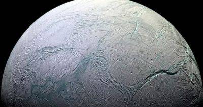 Миры-океаны в Солнечной системе могут быть обитаемы: доказательства нашли в Антарктиде (фото) - focus.ua - Антарктида