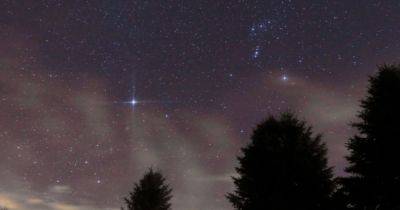 Действительно ли звезда Сириус самая яркая в ночном небе: ответ может удивить (фото) - focus.ua