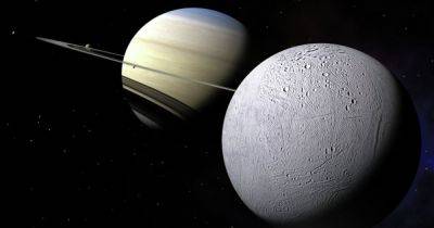 Потенциальная жизнь на спутниках Сатурна и Марса — ученые совершили неожиданное открытие - telegraf.com.ua - Антарктида