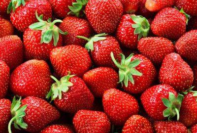 Названа ягода, которая быстро улучшит здоровье сердца и работу мозга - cursorinfo.co.il