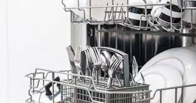 Самая чистая посуда в мире: ученые рассказали, как правильно загружать посудомоечную машину - focus.ua - Германия